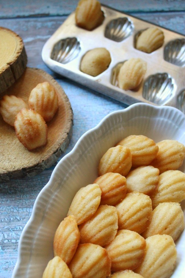 madeleines filippo's bakery